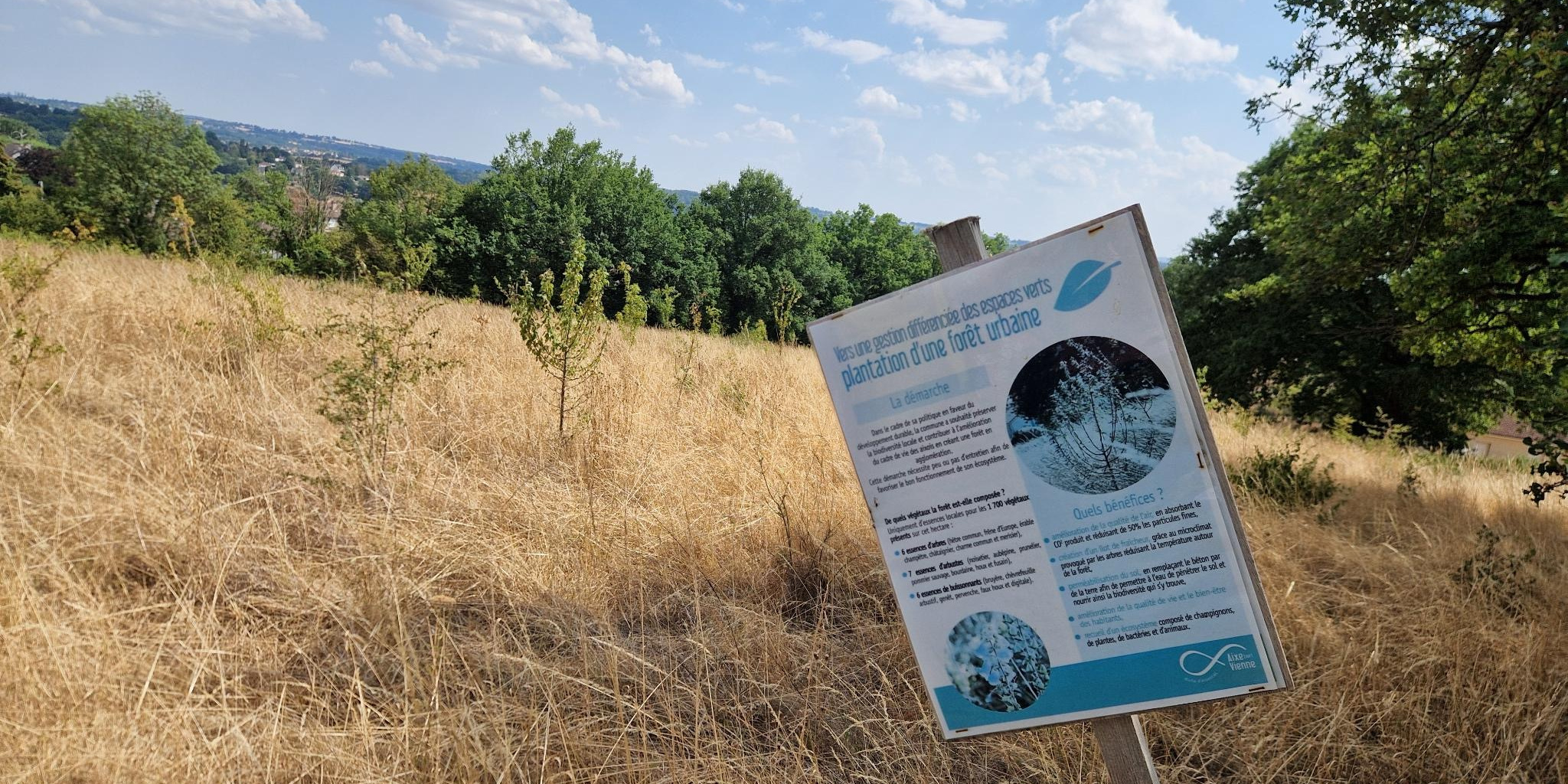 Beaubonnat : ni forêt, ni urbaine